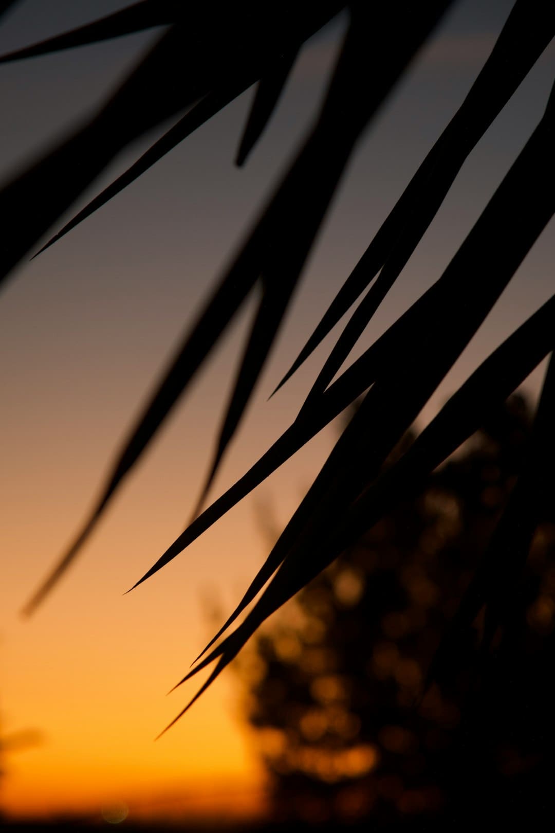 电影《有朵云像你》今天上映 四大亮点相邀浪漫七夕观影助力约会表白